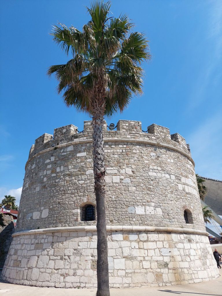 20250410_1225498582498717061920523